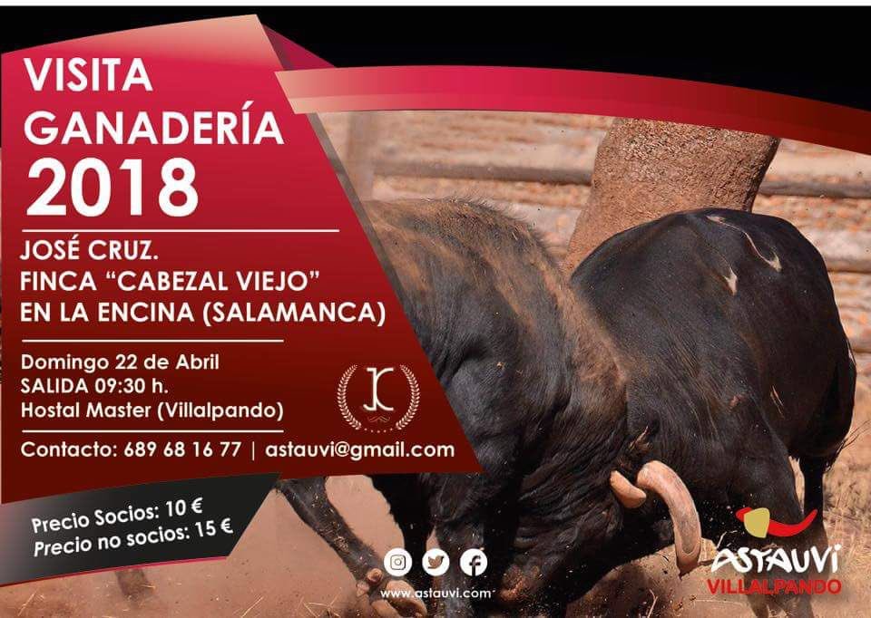 ASTAUVI's tweet photo. ¿Quieres conocer como vive el toro en el campo? ¿Tienes un plan mejor para tu domingo? Acompáñanos a nuestra visita a la ganadería de José Cruz el próximo 22 de abril.
Seguimos apostando por la Tauromaquia, por el toro bravo. https://t.co/BigMLw8jeU