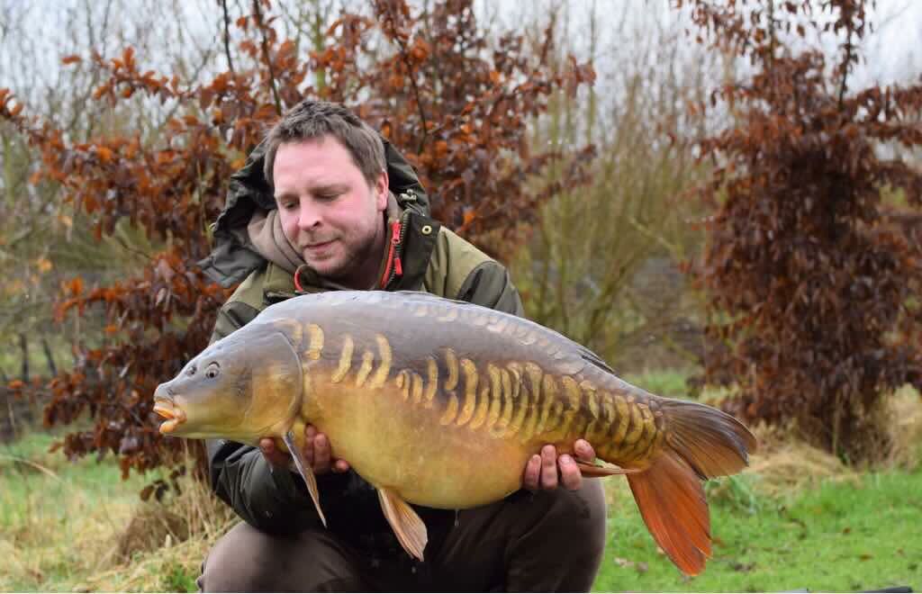 Proper Carp Baits tweet media