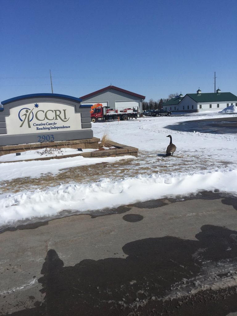 JodyHudson70's tweet image. This snow is for the birds! #SpringHasNotSprung #EarlyBird