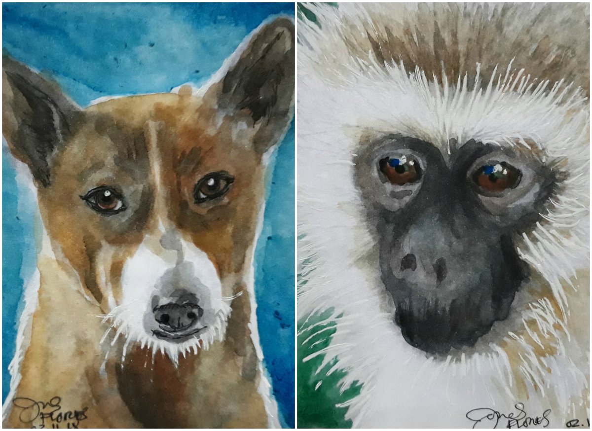 huelish's tweet photo. NEW COLORING TUTORIAL: Learn How to Color Grayscale with Watercolors https://t.co/Xf0VWu8Jbr #ColoringBook #Watercolor #grayscalecoloring https://t.co/RLh6p615jY