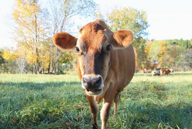 Just stopping by to say "what's up?"