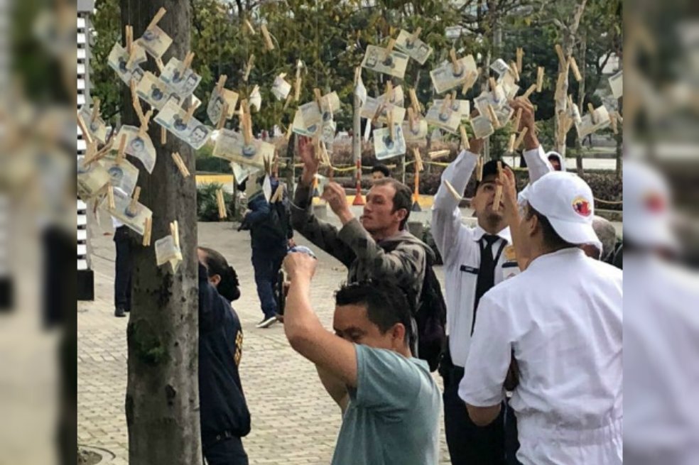 elespectador's tweet photo. ¿Qué hubo detrás de los árboles de billetes? El misterio está resuelto. https://t.co/I436VeGclG https://t.co/srrXvZEBa4