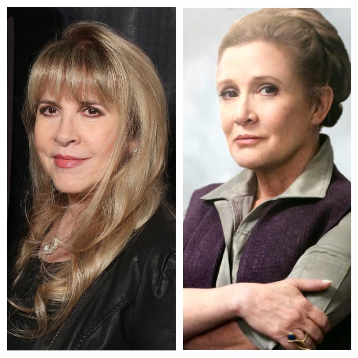 drburcham's tweet photo. Anyone else see this resemblance? @StevieNicks @DisneyStudios https://t.co/0QCAXALd9w
