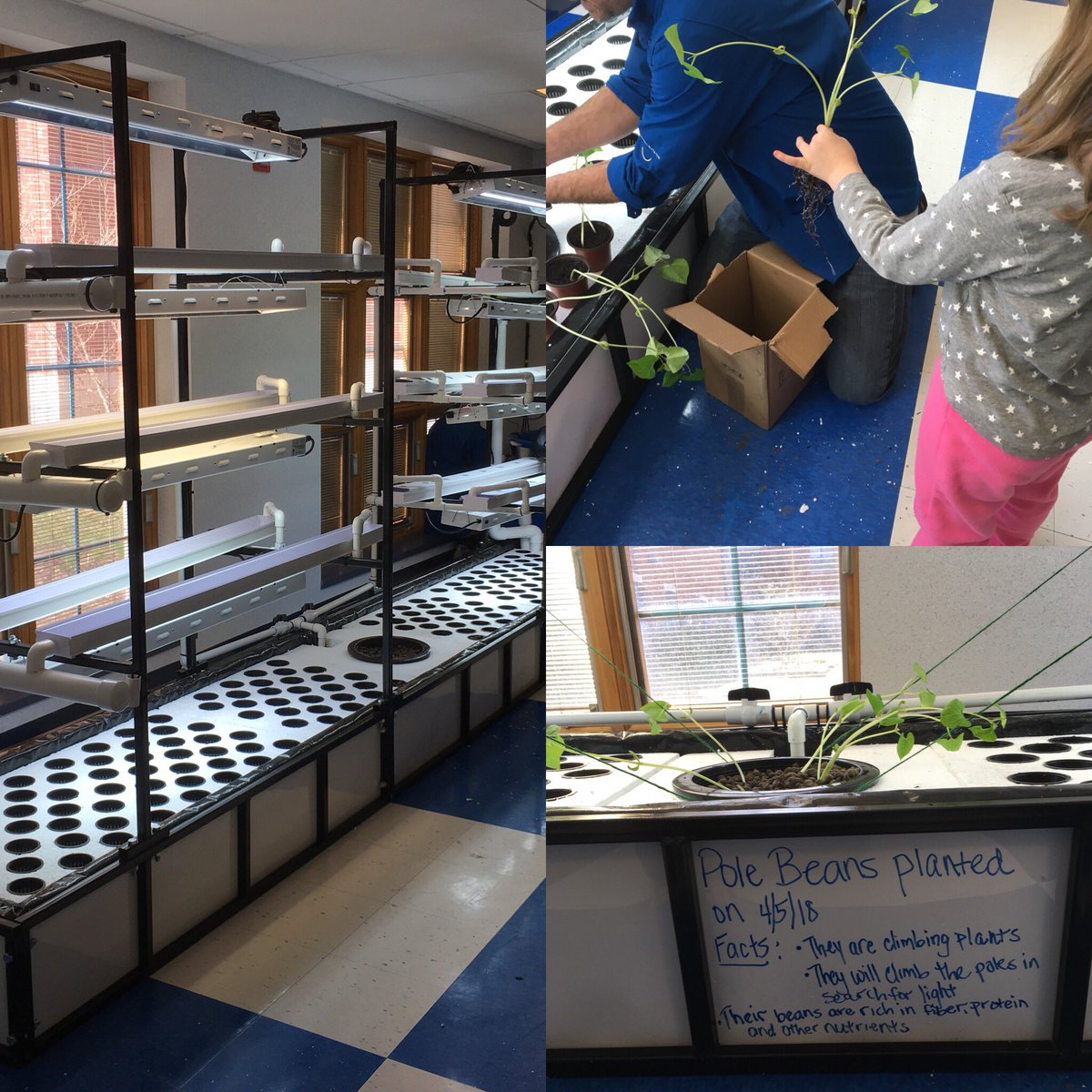 So excited for our school to have this wonderful opportunity! Aquaponics in addition to an outdoor learning garden!
<a href="/HATponics/">HATponics</a> @d_parella <a href="/slevinson21/">Shawn Levinson</a> <a href="/MJLBurgos5/">Michael Burgos</a> 
#aquaponics #schoolgardens