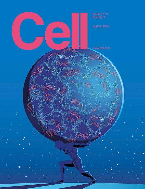 CellCellPress's tweet photo. New issue of Cell is out now https://t.co/ye9kiMN3jk featuring not only #pancanceratlas papers spanning 33 #cancer types but also #influenza, #malaria, #plant #immunity, #Drosophila #neurobiology, &amp; more! https://t.co/YGBNQXtYJ0