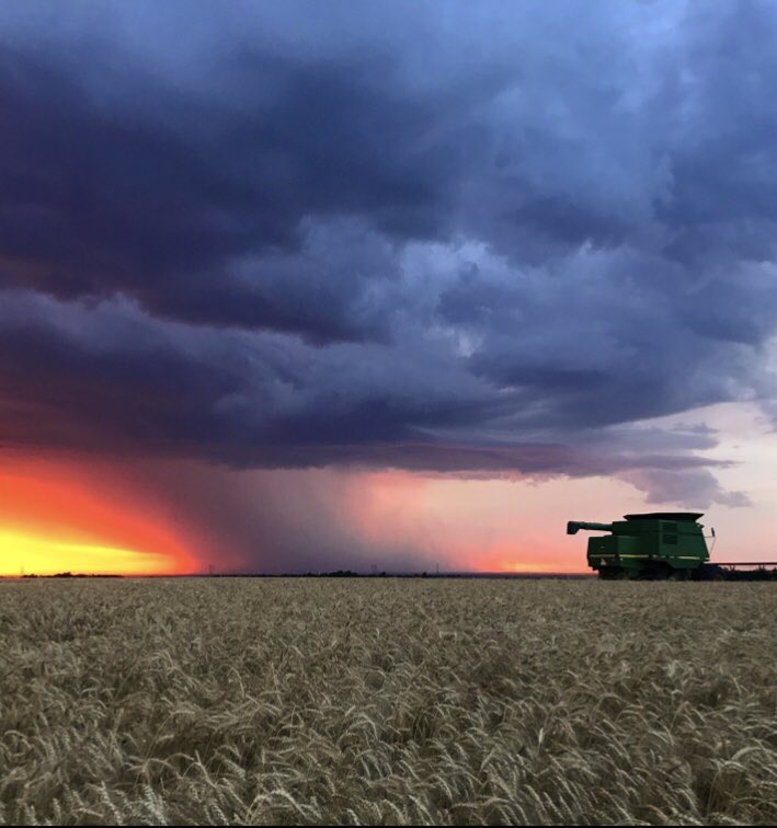 gregpeterson33's tweet photo. Kansas: 

If you                        Then
don't                         you don't
love me                    deserve me 
at my                        at my https://t.co/Maf618Z4tY
