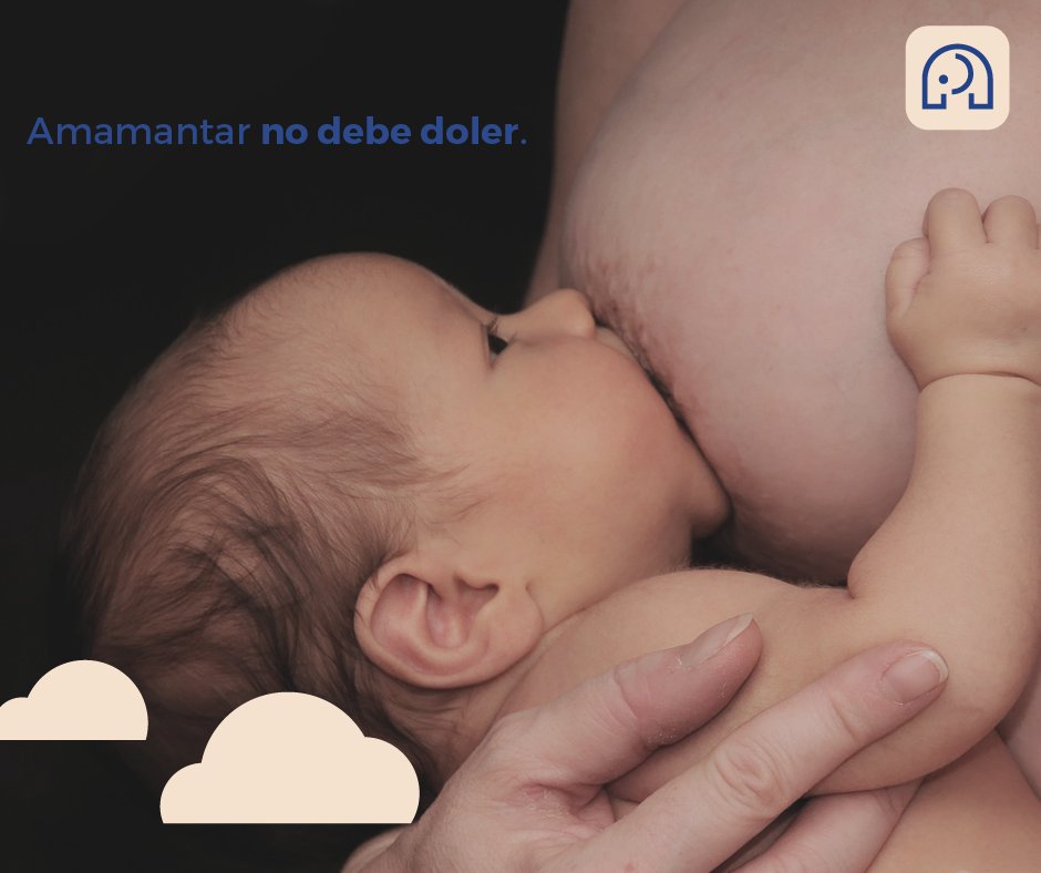 Amantamx's tweet photo. Presentar molestias al inicio de la lactancia puede ser normal; pero si éstas persisten y se convierten en un proceso doloroso debe verificarse el agarre correcto del bebé, o la posibilidad de alguna patología en la madre o el bebé #ComunidadAmanta #Lactancia https://t.co/cNxleLHyi0