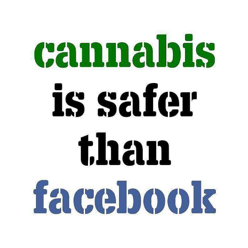 DrMesmer's tweet photo. #Cannabis does not censor or spy on you! #CannabisIsSaferThanFacebook #MakeAmericaHempAgain #WeCanAndWillDoBetter #USCC @realDonaldTrump @infowars @C3Cannabiz @pgordon5 @JulianAssange @MelissaBalin @MinistryofHemp @RealJamesWoods @hempaware @HempsterAmerica @libertytarian #op420 https://t.co/SwSR39QY5g