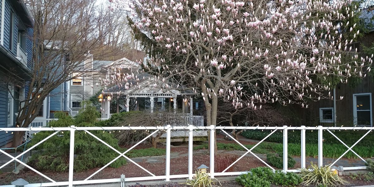 Spring really is coming. See you for lunch, dinner, 1 or 2 night stay!