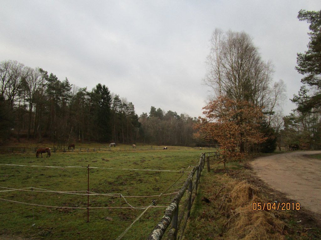AlmutInselmann's tweet photo. Der 70.Beitrag im Blog https://t.co/NZgIl5DPK5 https://t.co/5LgSvz9vqu