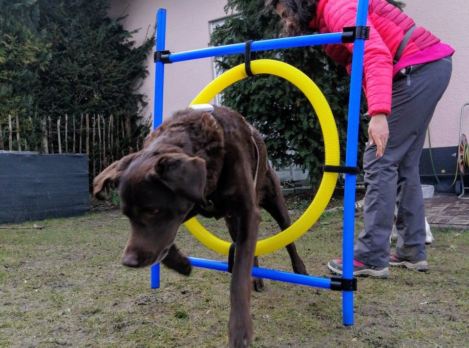 paulaverte's tweet photo. Hüpf, hüpf, hurra! https://t.co/JOOjVo25eY https://t.co/yidG9UHAvt