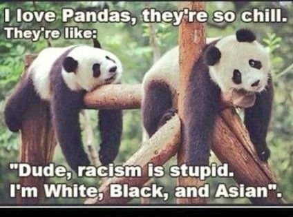 shellbelle1022's tweet photo. I have decided to stick with Pandas. Hate is too great a burden to BEAR. 🐼 #AddPandaToAnything https://t.co/xBQbco4TLJ
