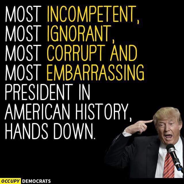 markyw73's tweet image. Lying  Spanky 🤥 #SpankyThePresident #SpankyTrump #TrumpLies #ImpeachTrump #Impeach45