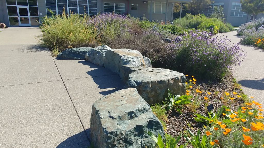 PacGardens's tweet photo. Got talent? Our Earth Day Garden Party will have an open mic available to everyone who wants to perform, headlined by UOP's Gabe Ojeda! Stay tuned for more details! #PacificGardenProgram #EarthDay #OpenMic #Stockton https://t.co/cqCcPqmEbo