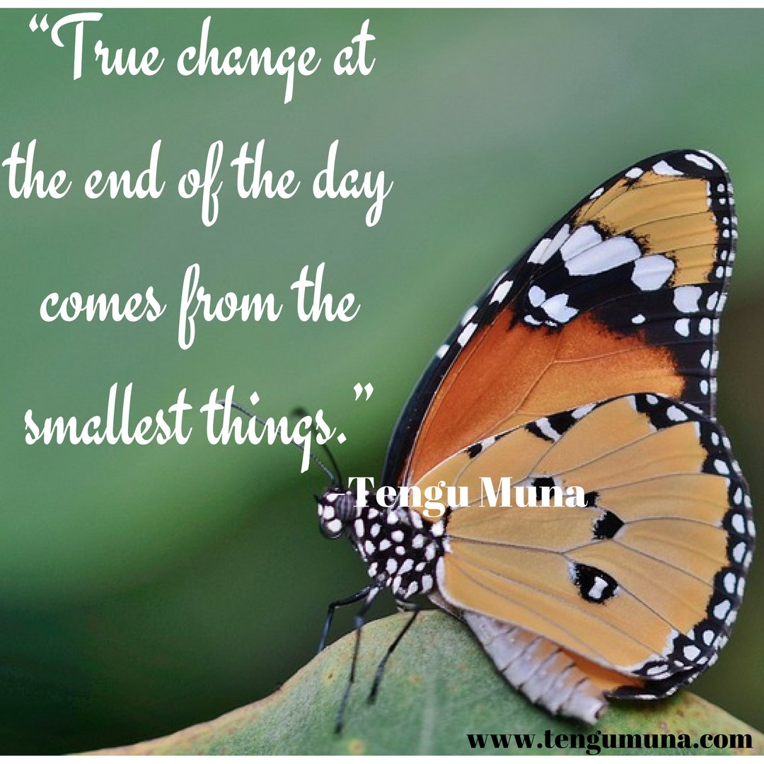 tengumuna's tweet image. Tengu Muna, Eight Daily Practices for Living an Intentional Life
#Tengumuna #truechange #intention  #achaibowomen #leagueofinspirationalwomen #careercoaching