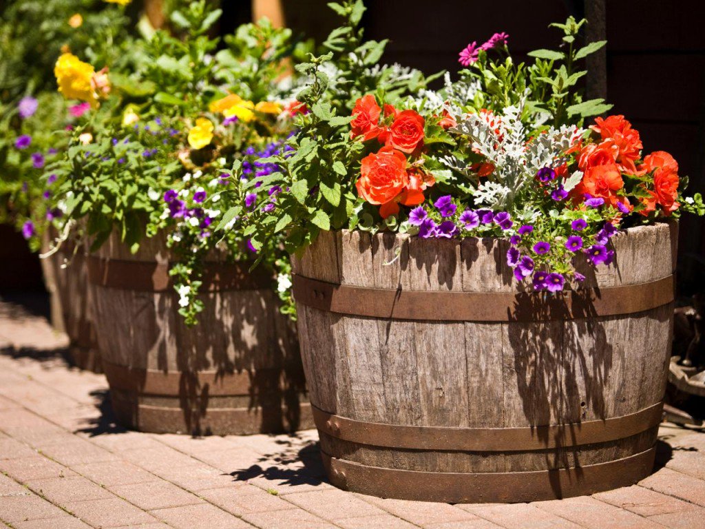 Ynysawdre CC (@ynysawdrecc) on Twitter photo Looking for volunteers to empty some of the wooden barrels, donate plants and plant up. The barrels at Pleasant View seem to be looked after - by whom ??? If you know. Anyone interested in helping, please inbox me, email: ynysawdrecommunitycouncil@hotmail.com or T 0790 460 4049 Looking for volunteers to empty some of the wooden barrels, donate plants and plant up. The barrels at Pleasant View seem to be looked after - by whom ??? If you know. Anyone interested in helping, please inbox me, email: ynysawdrecommunitycouncil@hotmail.com or T 0790 460 4049