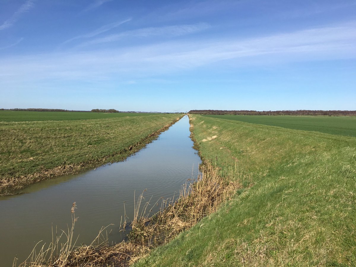 FenFairy's tweet image. Beautiful spring day #TheFens #WoodWaltonFen #MiddleLevel