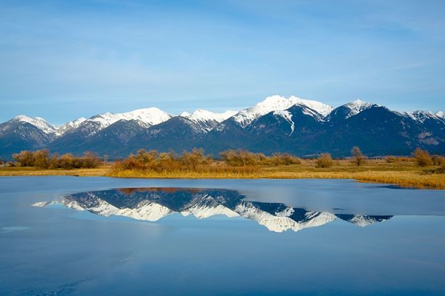 wildmontana's tweet image. You know it's spring in the Missions when the lakes start to melt out and just a few tongues of snow are left clinging to the lower slopes.
.
.
.
📷: Uschi Carpenter #wildmt #missionmountains #springiscoming #snowcappedpeaks #mountainreflections #spri… ift.tt/2uOrwcr