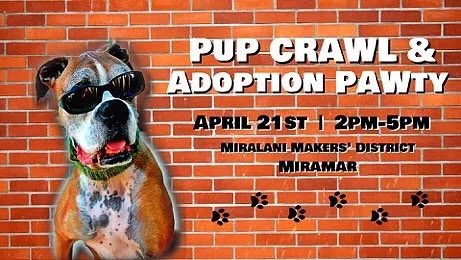 HeartsForSD's tweet photo. Don’t forget to buy your tickets for our Pup Crawl Adoption Pawty to benefit @TracisPaws ! Tickets and more information are available on our site 🐶🐾 #dogsarejoy #AdoptDontShop #ADOPT #Puppies #doggy #SanDiego #SD https://t.co/X7XSFDXtQF