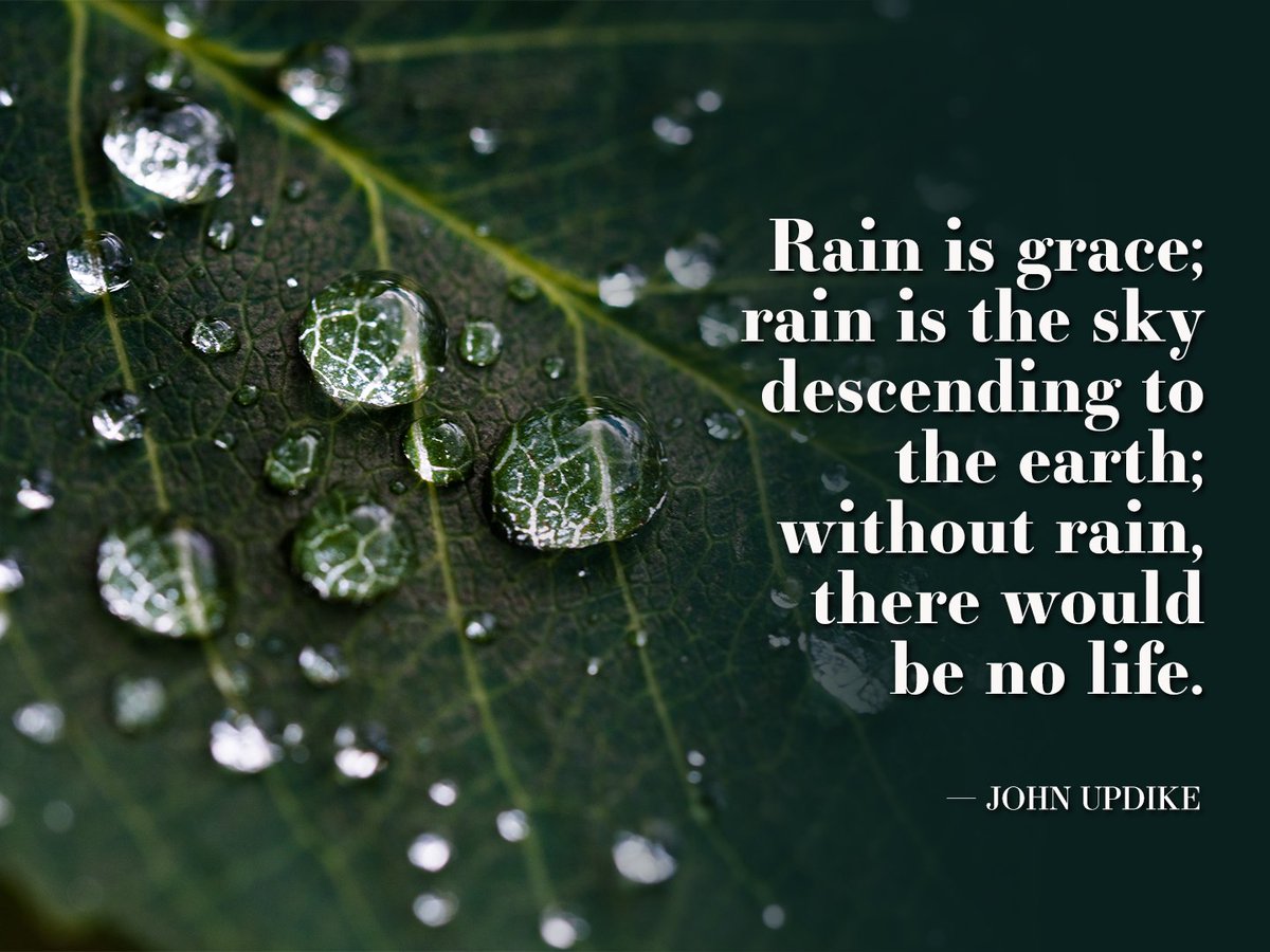 CovenantCA's tweet image. Rain is grace;
rain is the sky descending to the earth;
without rain, there would be no life
#Reflection #ReflectionoftheWeek