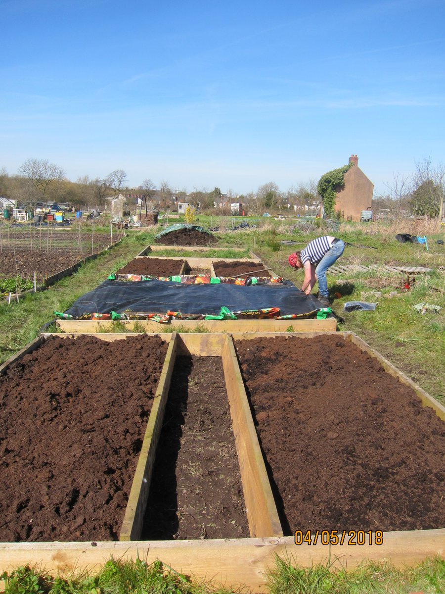 debraedmonds's tweet photo. Excellent day of allotment work today #letsgrowtogether #allotment https://t.co/pk59SiPe17