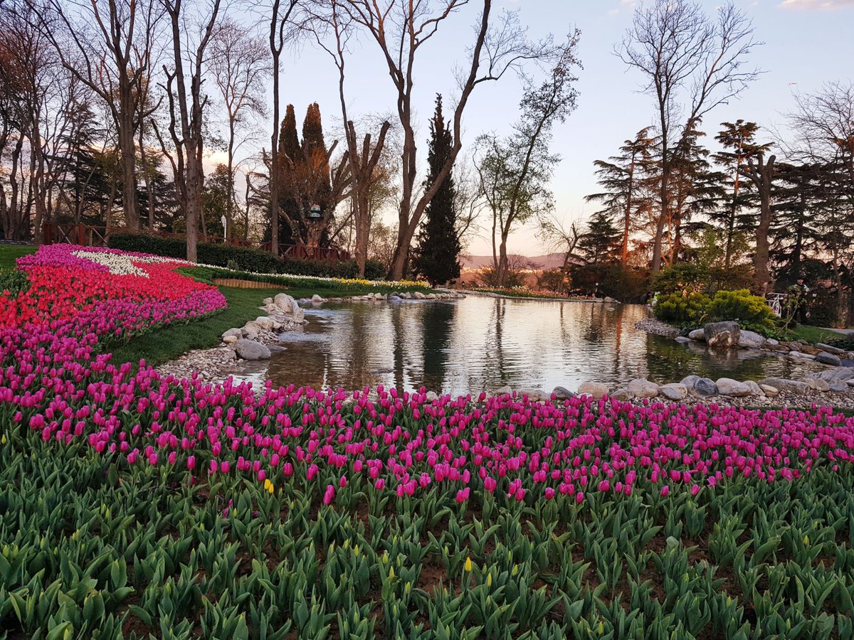 Nisan 2018 13.Lale Festivali