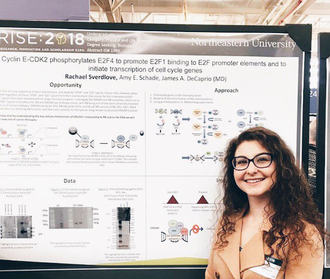 Congrats to our sisters and everyone else who participated in RISE with <a href="/CRIatNU/">Northeastern's Center for Research Innovation</a> today! Thanks for demonstrating how much we value Scholarship on this Founder's Day 💛❤️