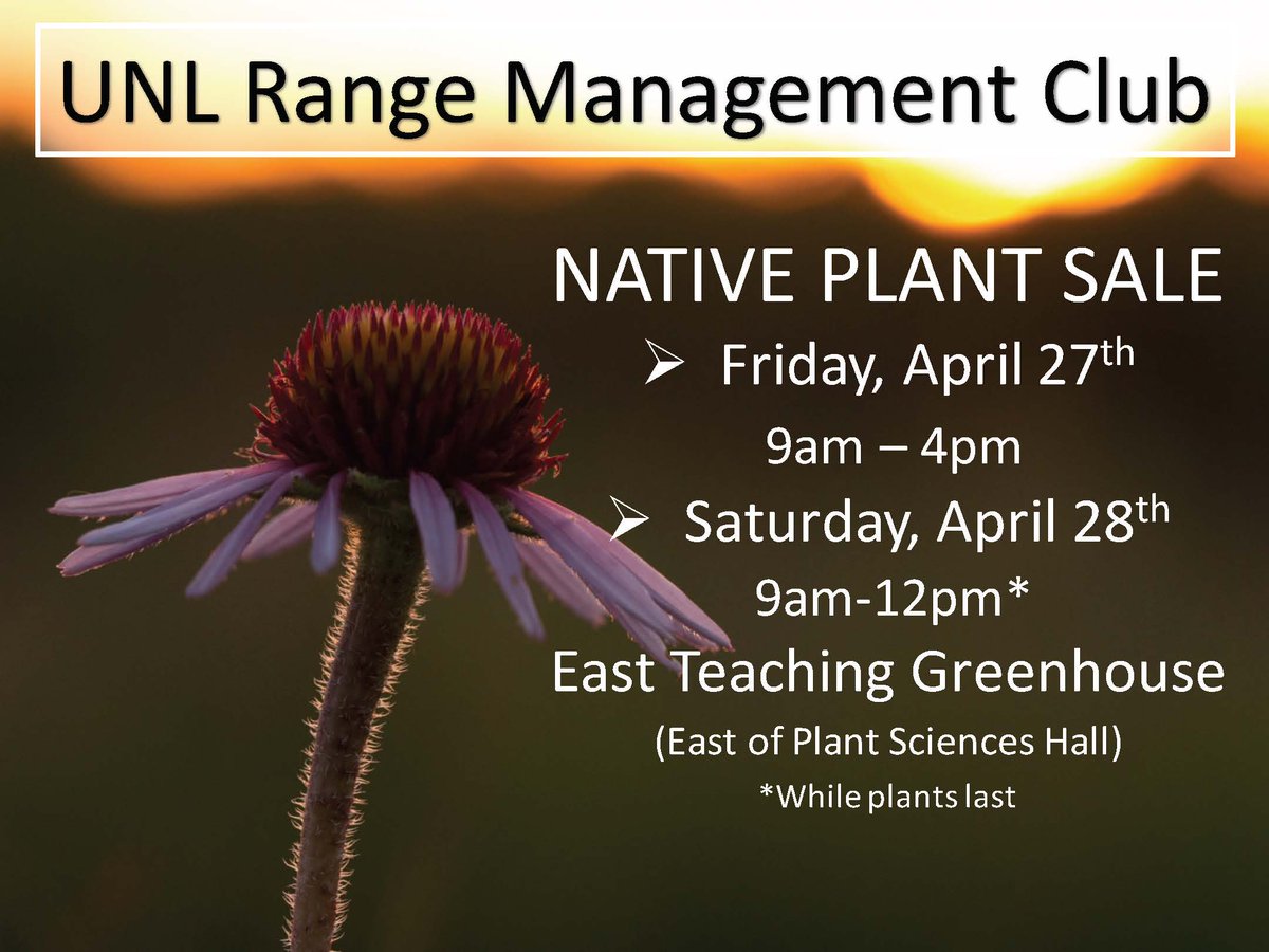 UNLRangeForage's tweet photo. Mark your calendars!!! Native #Plant sale fundraiser for our #UNL #Range Management Club. Friday, April 27th and 28th! @unlagrohort @UNLSNR #NativeGrasses #NativeForbs https://t.co/hY6ADF0uHD