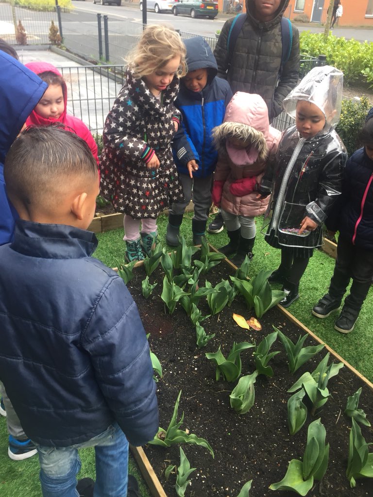 DoanhTruong's tweet photo. Zo hadden we de schooltuin niet achtergelaten😳.. Allemaal tulpen, hyacinten en narcissen. Wat zijn we mooi... #kleuters #natuureducatie #Amsterdam #Zuidoost #onderwijs #schooltuin #prachtberoep @obsbijlmerhorst https://t.co/FT87Qssd44