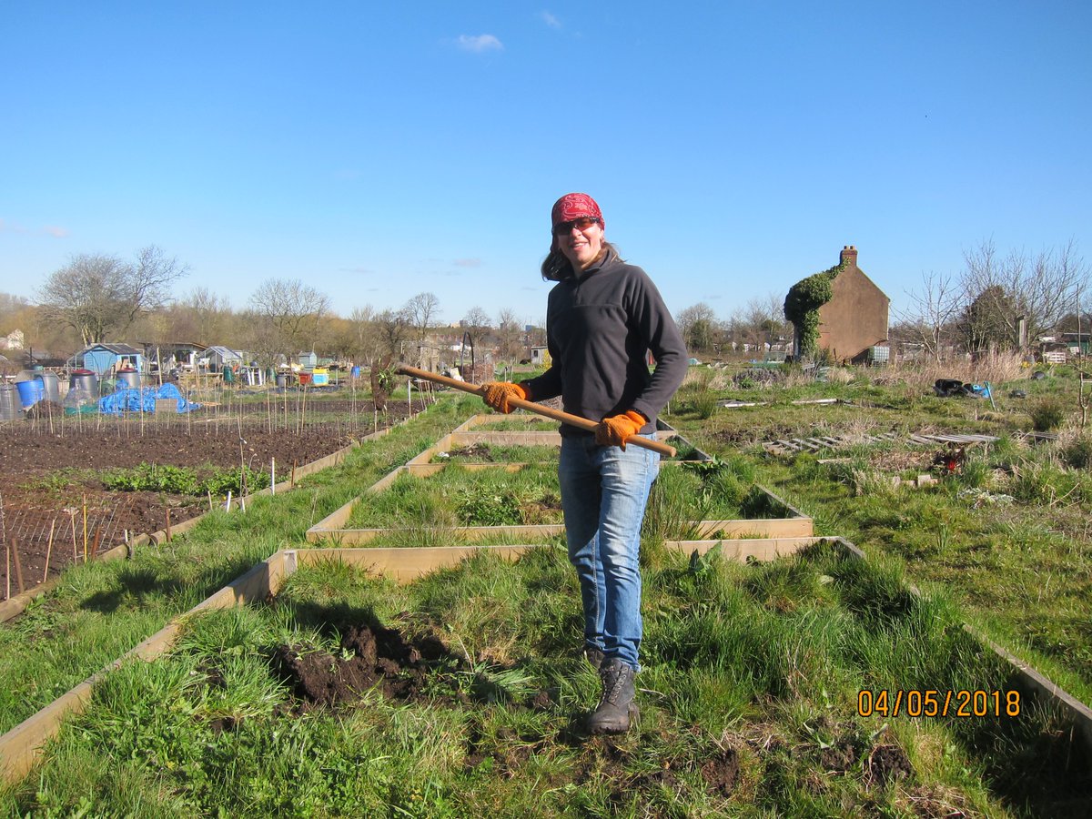 debraedmonds's tweet photo. Excellent day of allotment work today #letsgrowtogether #allotment https://t.co/pk59SiPe17