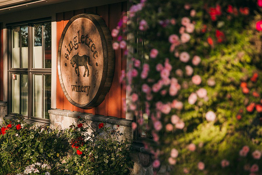 BLUSHvancouver's tweet photo. BC Wine Month x BLUSH: Ask the Winemaker https://t.co/qCiUKO5roN https://t.co/aWepNTaPUz