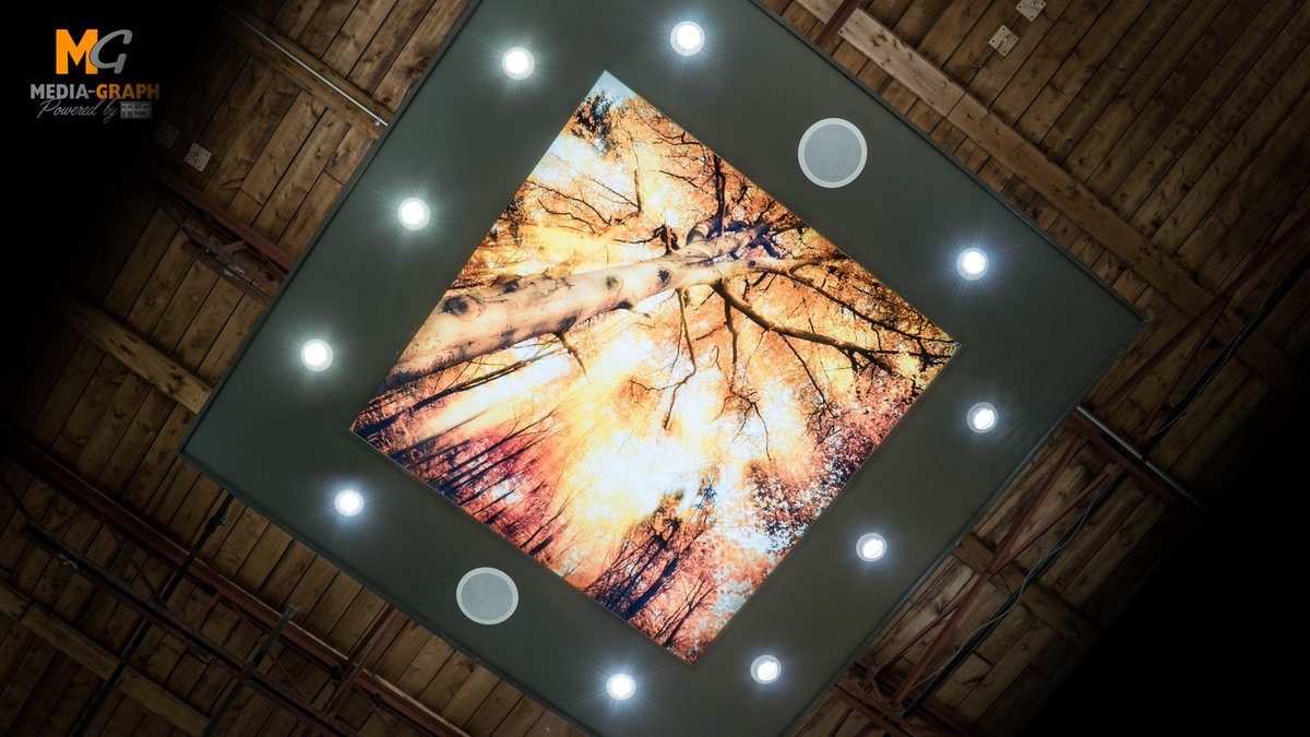 MediaGraph_Inc's tweet image. Bring that special effect to your ceiling with Media Graph. #ceiling #architecturalceiling #mediagraph