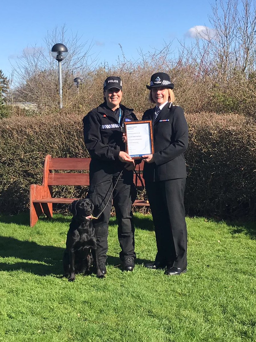 amydeemo's tweet photo. It’s official…I have a Search Dog!! DCC Blakeman presented our certificate today. Very proud handler as Lilly was SO poorly this week but still searched for me. Fingers crossed for more good news & Lilly will soon be putting that nose to work!! #proudhandler #DontDitchTheDogs https://t.co/Xk4jHDkGNt