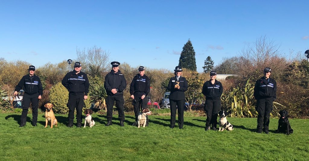 amydeemo's tweet photo. It’s official…I have a Search Dog!! DCC Blakeman presented our certificate today. Very proud handler as Lilly was SO poorly this week but still searched for me. Fingers crossed for more good news & Lilly will soon be putting that nose to work!! #proudhandler #DontDitchTheDogs https://t.co/Xk4jHDkGNt