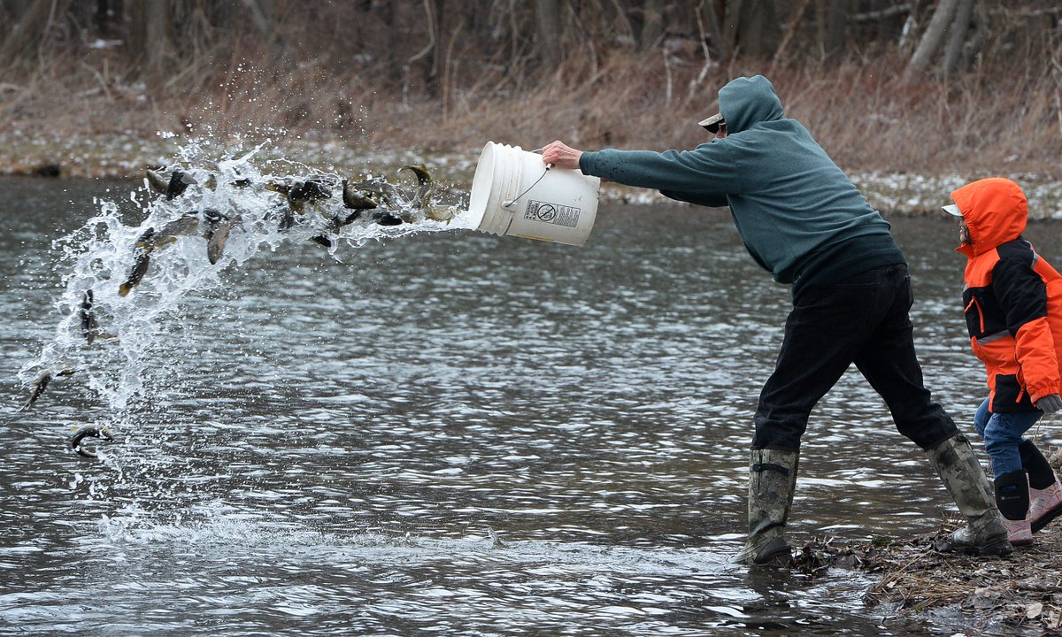 ETNWohlford's tweet photo. Trout stocking in #NWPAOut is underway. See photos https://t.co/a6CwXZfVy4. For a complete stocking schedule https://t.co/ZsYpGoxDaE #ErieLive https://t.co/jxrXEbEA4h