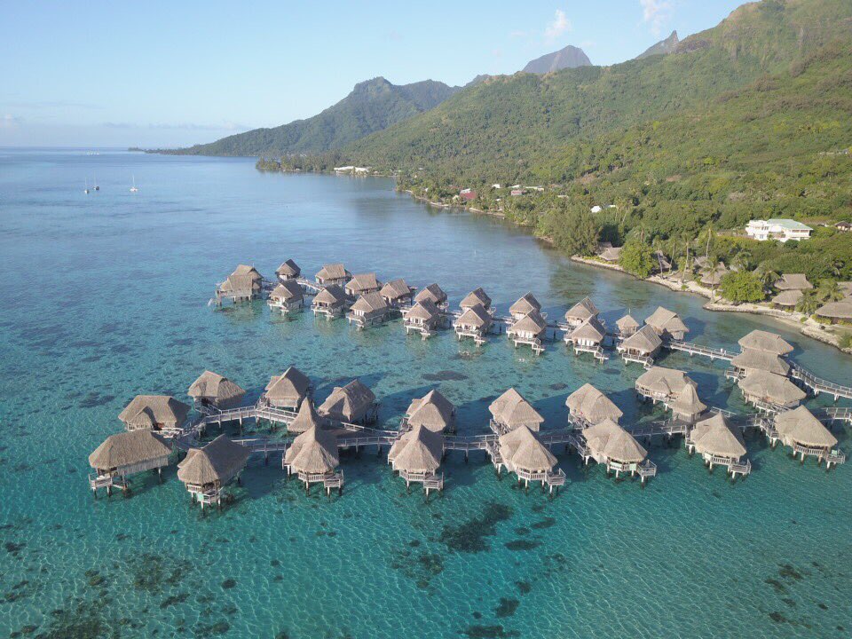 Kait Hanson tweet media