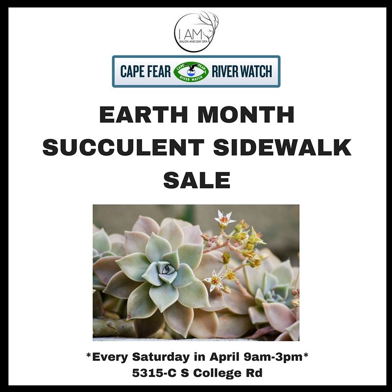 IAmSalon's tweet photo. PLANT SALE!! Starts this saturday and goes on every Saturday in April from 9-3. Money raised goes to @capefearriverwatch $5/plant or 5 for $20. *CASH ONLY* https://t.co/DrXB82c9dY