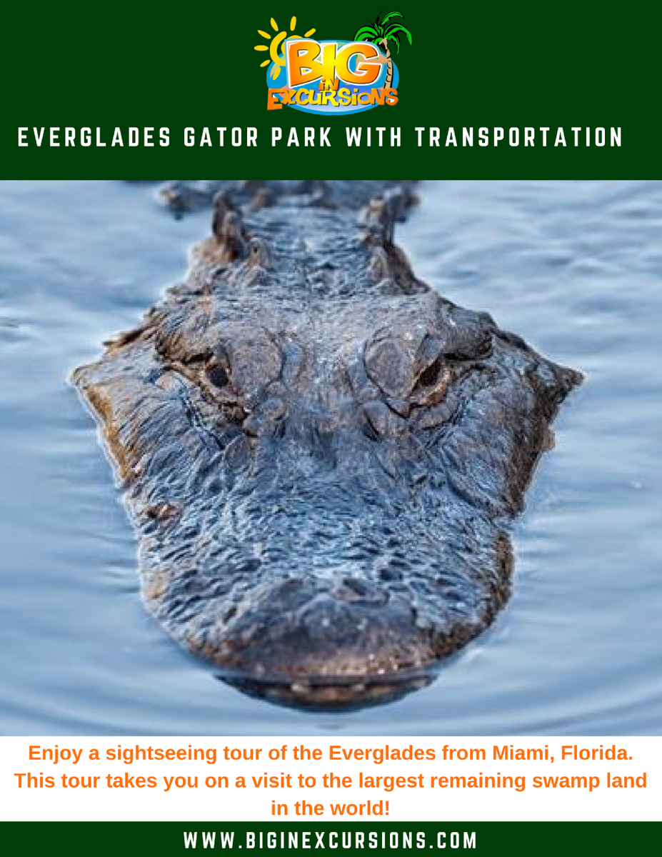 BigInExcursions's tweet photo. BOOK TODAY! https://t.co/INAGKl4pZJ https://t.co/eFN2Pxd2nh