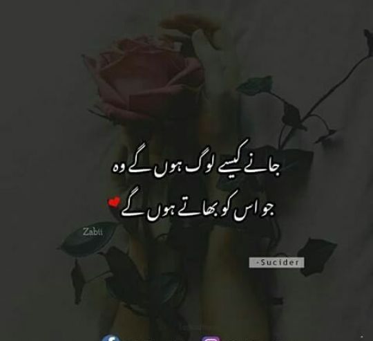 aaramarvi's tweet photo. https://t.co/bZdTo0bdVd