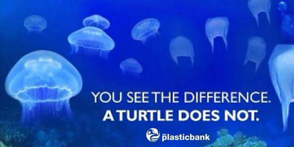 TheGreenHourSA's tweet photo. https://t.co/LATRmwNMlB