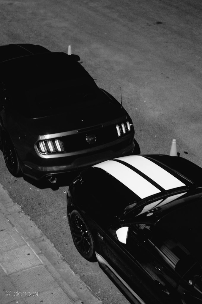 donrxbii's tweet photo. 2 Ponies parked out front, my carriage is waiting for me. @FordMustang
#Ford #Mustang #GT #Cars #BalconyView #donrxbii #photography #BlackandWhite #NoirCollection https://t.co/RghSDxDrsx