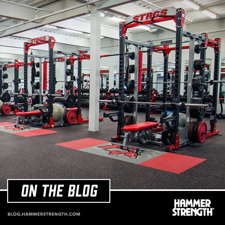 HammerStrength's tweet image. Strength &amp;amp; conditioning coaches must be experts in building relationships. @FairfieldStags Director of Sports Performance Nick Kolb shares three relationships that are critical to success: bit.ly/2Iv6mC5