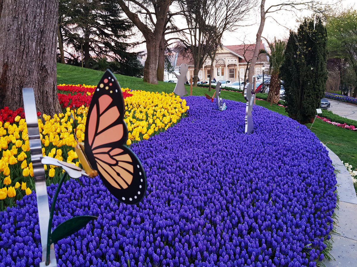 EmirganTulip's tweet photo. April 2018 13.Emirgan Tulip Festival https://t.co/pI9nOQ0R7q