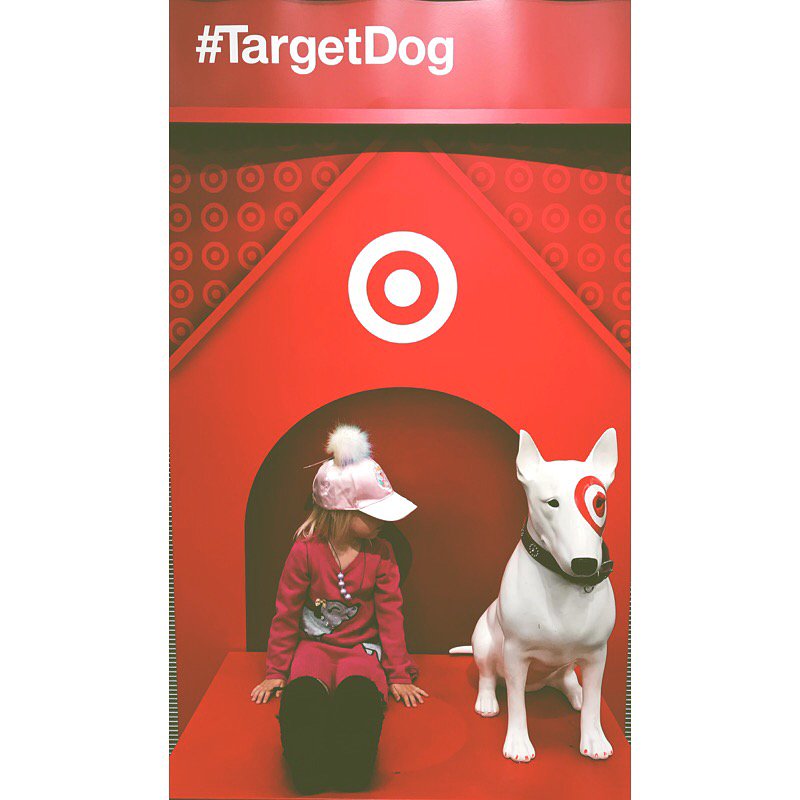 ashleyladwig's tweet photo. Let’s be honest here... the #TargetDog is the adult version of Santa Clause. #truth #target https://t.co/r4zOYFyka8