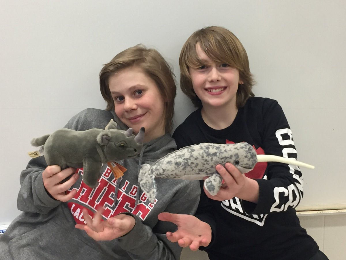 ms_thorne's tweet photo. Our World Wildlife Fund animal adoptees have arrived! What a great classroom addition! #whiterhino #narwhal @staugustinewcd @WWFCanada https://t.co/IDMtDBGQ6K