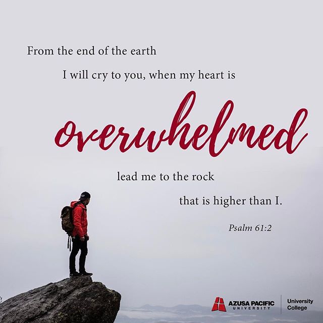 University College tweet media