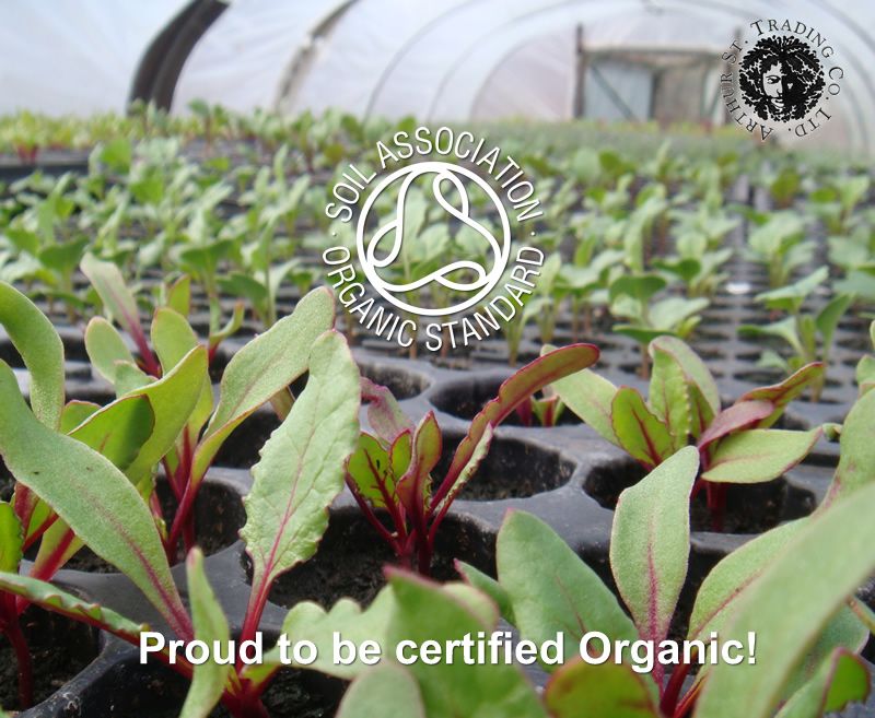 arthursorganics's tweet photo. Why we've been @SoilAssociation certified since 1999: https://t.co/4RSaGI411C  #grower #vegbox #workerscoop #ethics https://t.co/dirJA6P1sf