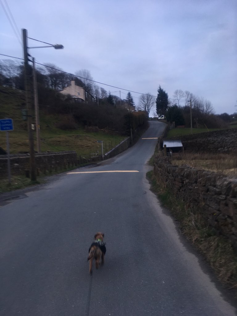 waltertheborder's tweet photo. Lovely mystery walk wiv mum #newplaces #neverbeenherebefore https://t.co/AALBNscmdf