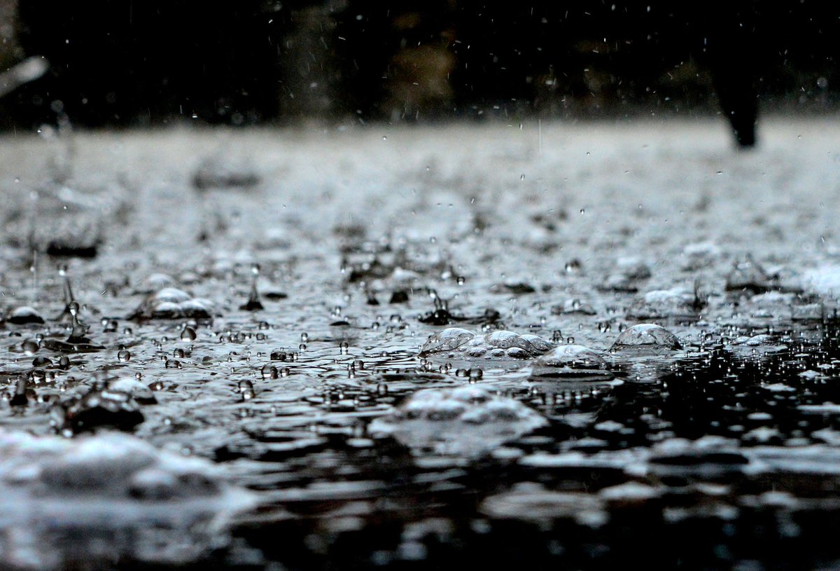 C21Clemens's tweet image. April showers bring May flowers… after they flood your basement. Here’s some advice on how to deal with the mess and prevent it from happening in the future: ow.ly/JiiY30jgEBD #basementflooding #cleanup #aprilshowers