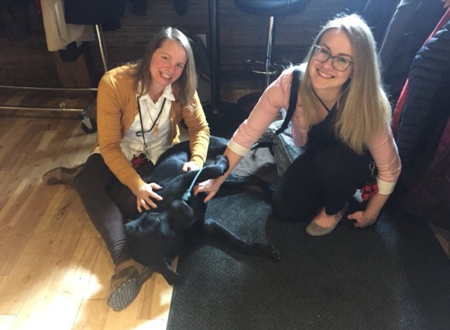 inFLAMEnetwork's tweet photo. The #inFLAME conference dog, providing stress relief (and a dose of diverse microbes?) throughout the day! https://t.co/sqUwEvWnqJ
